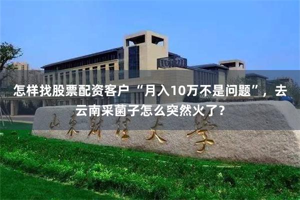 怎样找股票配资客户 “月入10万不是问题”，去云南采菌子怎么突然火了？