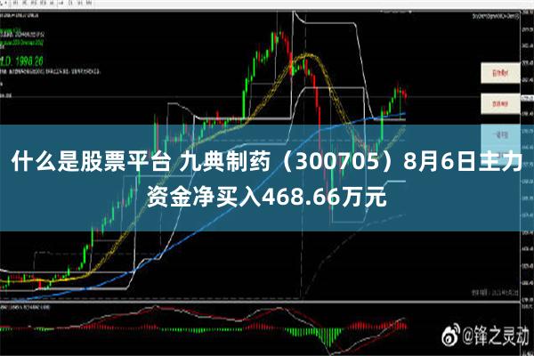 什么是股票平台 九典制药（300705）8月6日主力资金净买入468.66万元