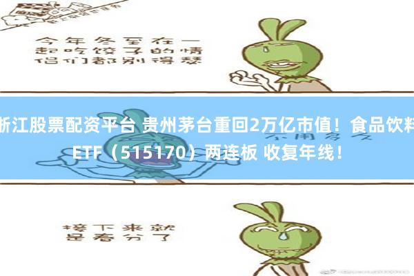 浙江股票配资平台 贵州茅台重回2万亿市值！食品饮料ETF（515170）两连板 收复年线！