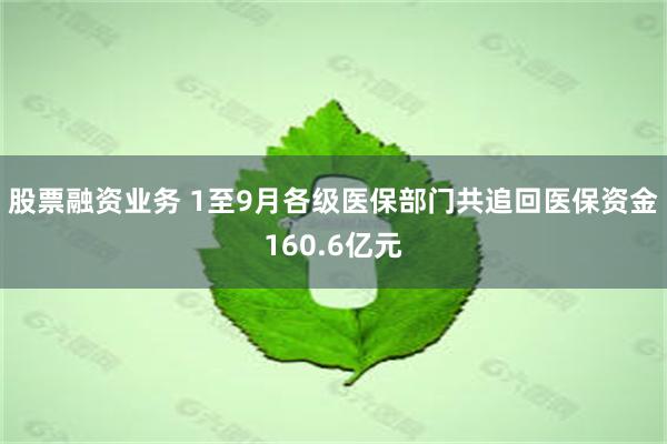 股票融资业务 1至9月各级医保部门共追回医保资金160.6亿元