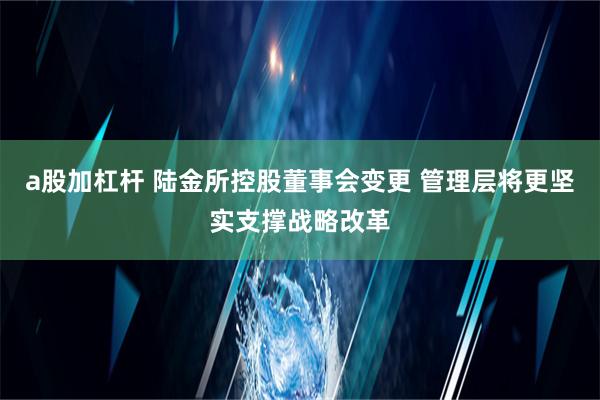 a股加杠杆 陆金所控股董事会变更 管理层将更坚实支撑战略改革