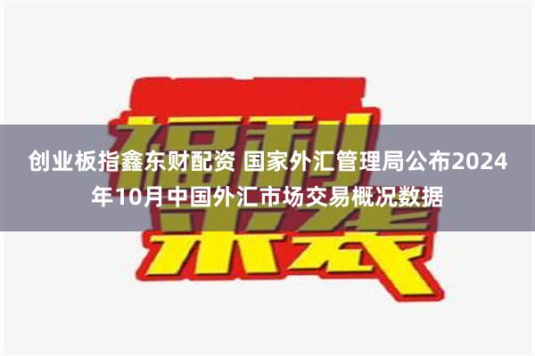 创业板指鑫东财配资 国家外汇管理局公布2024年10月中国外汇市场交易概况数据