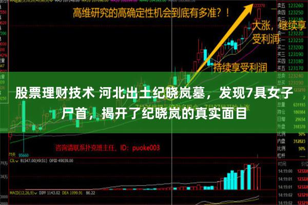 股票理财技术 河北出土纪晓岚墓，发现7具女子尸首，揭开了纪晓岚的真实面目