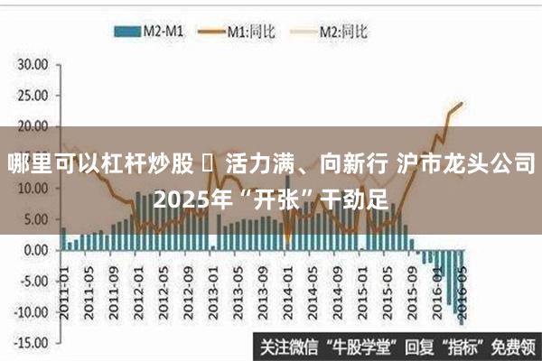 哪里可以杠杆炒股 ​活力满、向新行 沪市龙头公司2025年“开张”干劲足