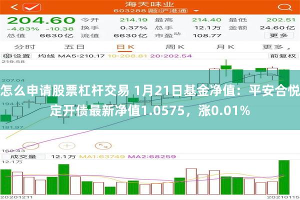 怎么申请股票杠杆交易 1月21日基金净值：平安合悦定开债最新净值1.0575，涨0.01%