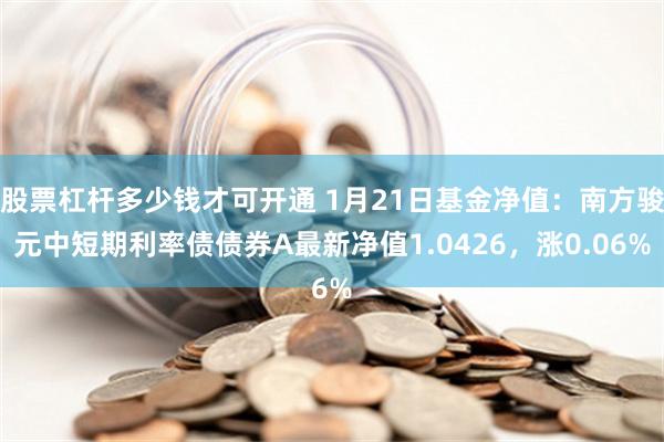 股票杠杆多少钱才可开通 1月21日基金净值：南方骏元中短期利率债债券A最新净值1.0426，涨0.06%